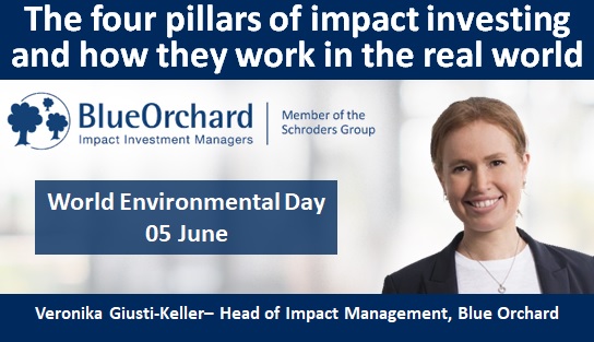 The four pillars of impact investing and how they work in the real world