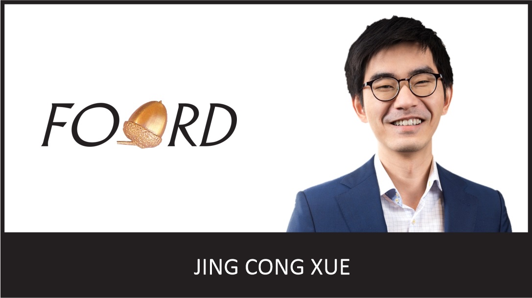 The AI revolution: Learning from past bubbles