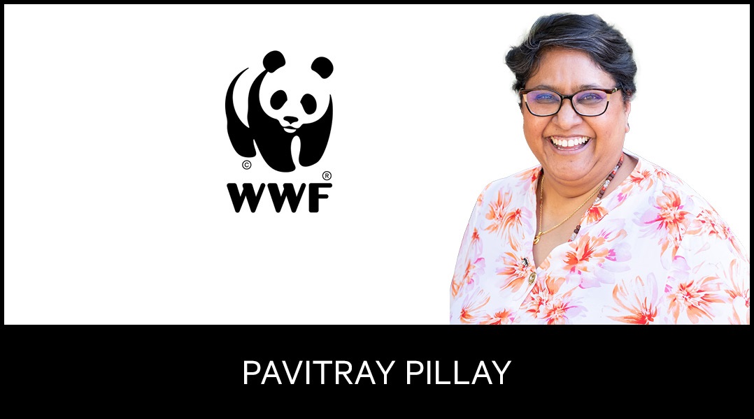 SA’s nature risk is mounting, but JSE companies are not keeping pace